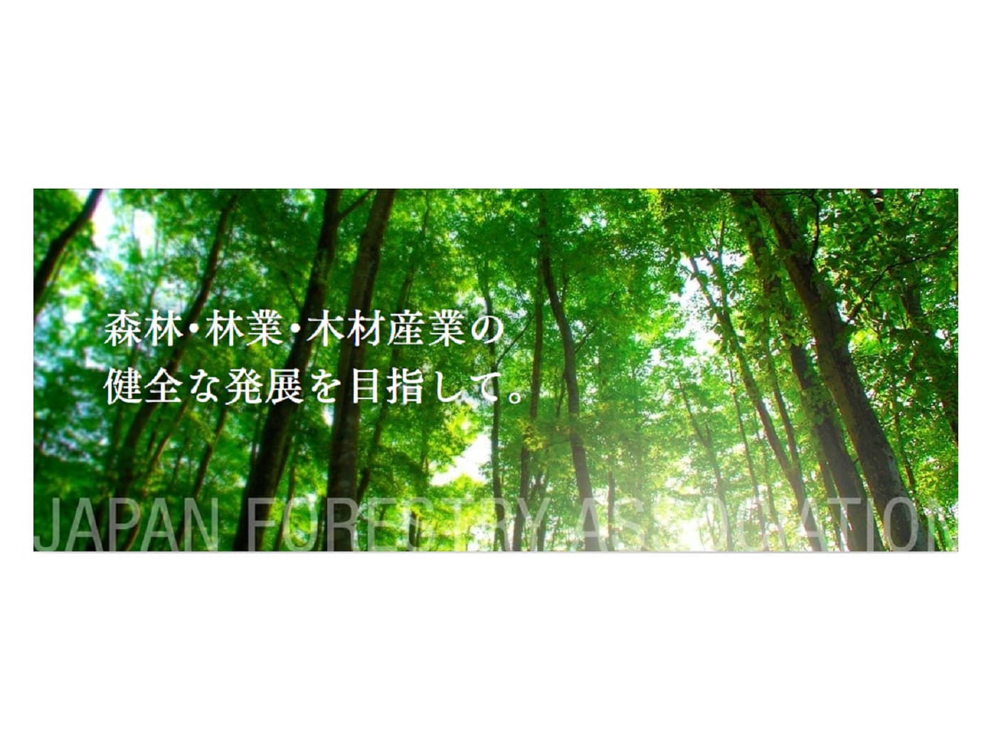 一般社団法人　日本林業協会