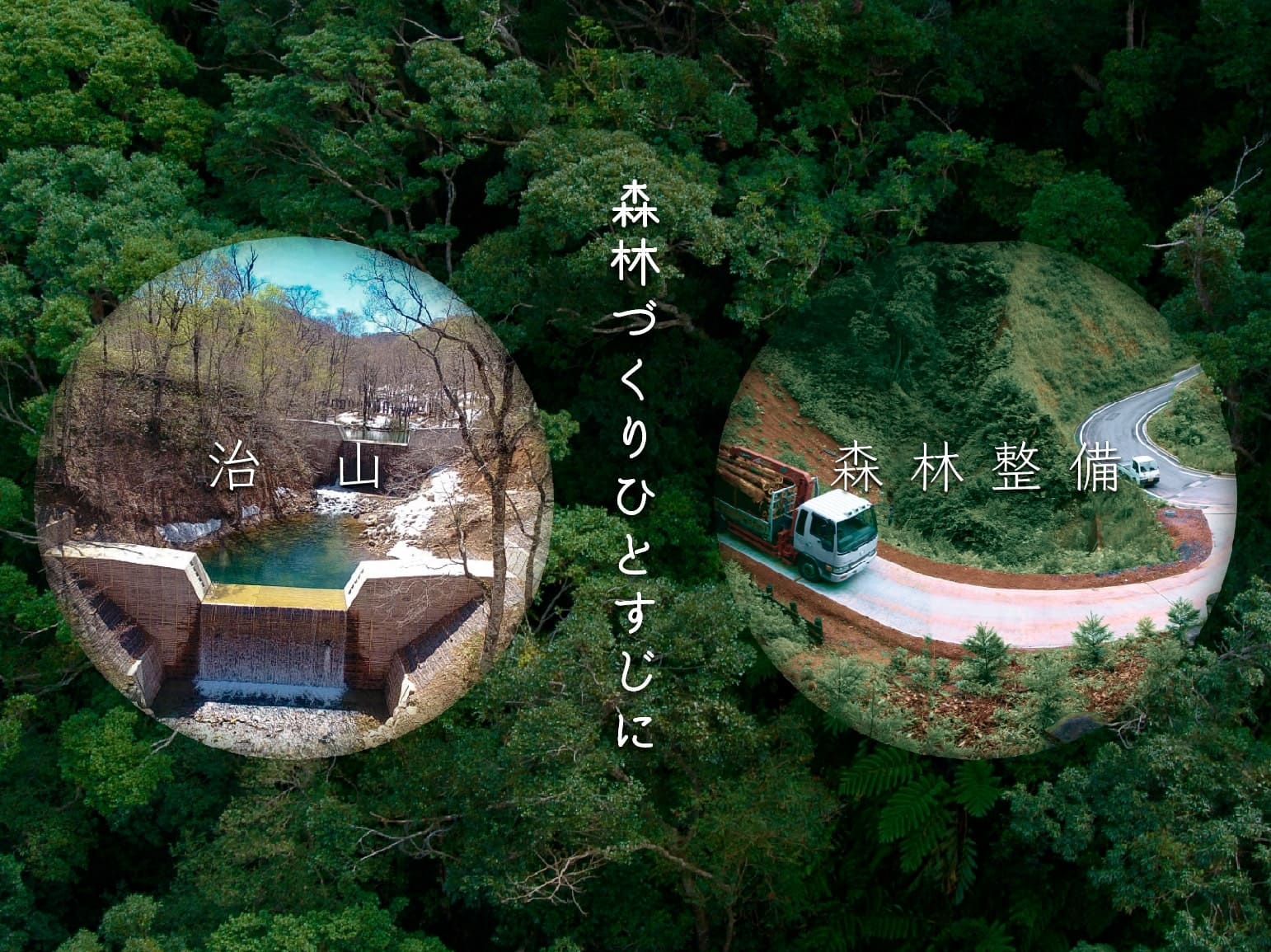 株式会社森林テクニクス